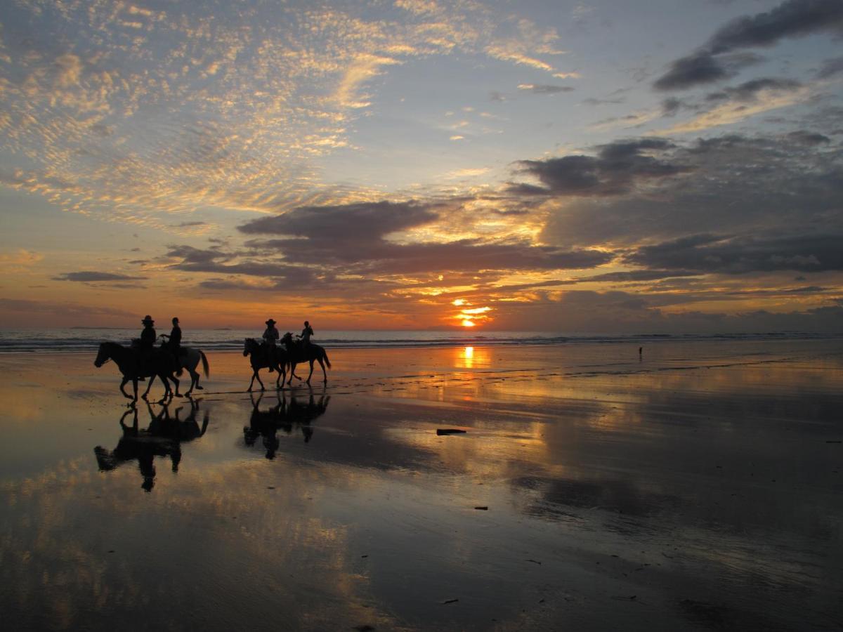 Las Lajas Beach Resort Dış mekan fotoğraf